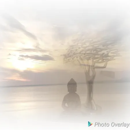 Apartment Noks First Line Seaview *